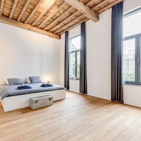 Beautiful Spacious Loft In The Heart Of Apartment