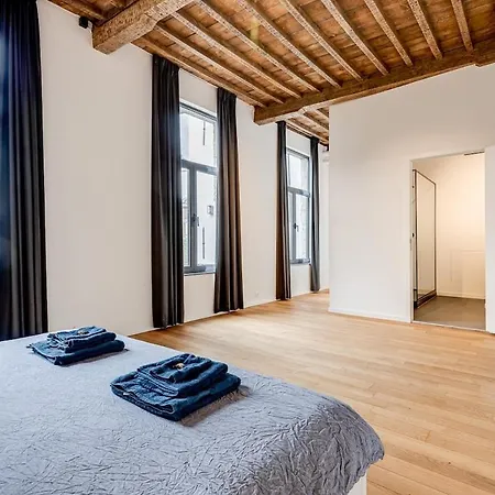 Beautiful Spacious Loft In The Heart Of Apartment *
